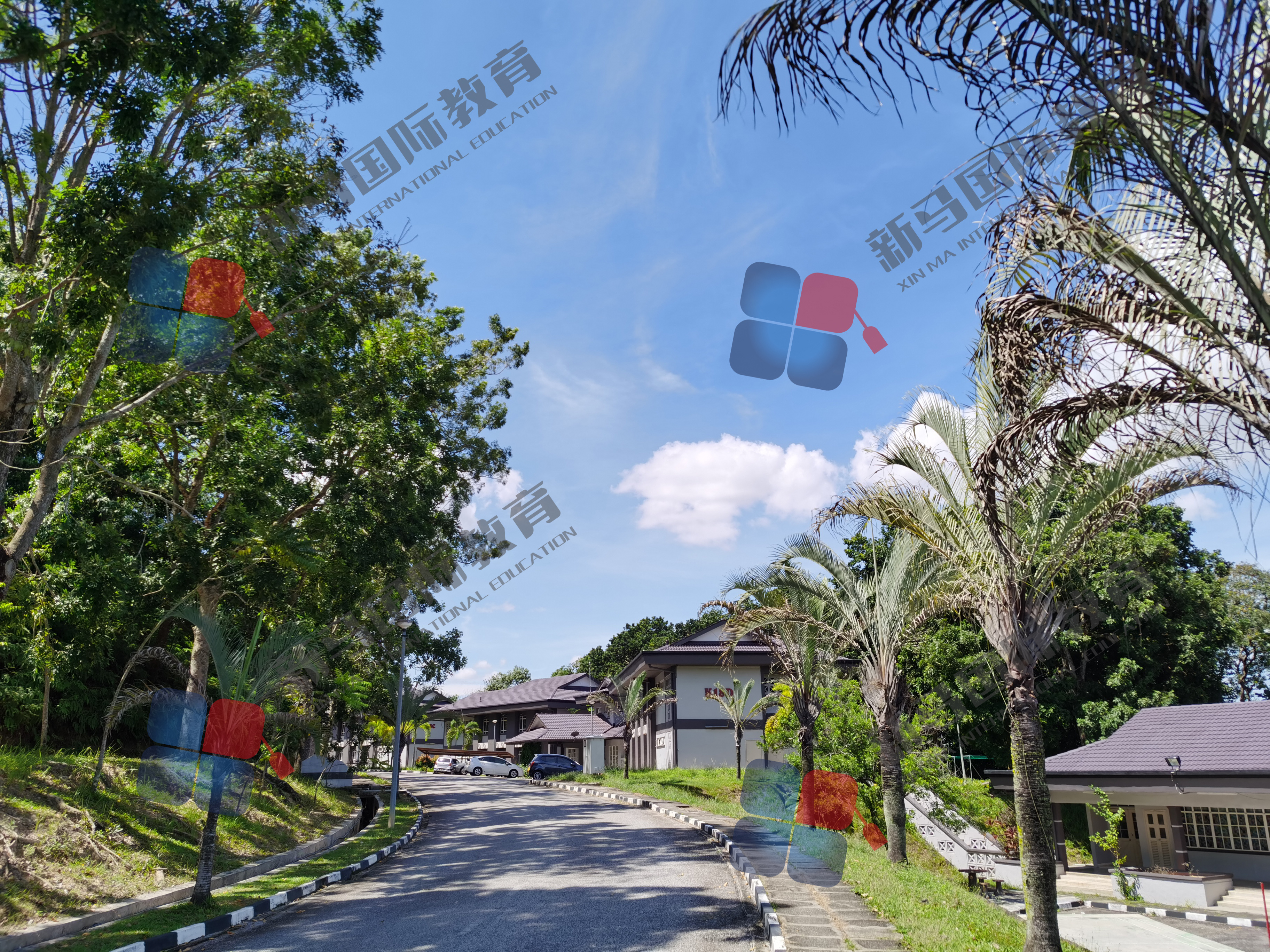 千萬別去馬來西亞留學?WHY?(圖11)