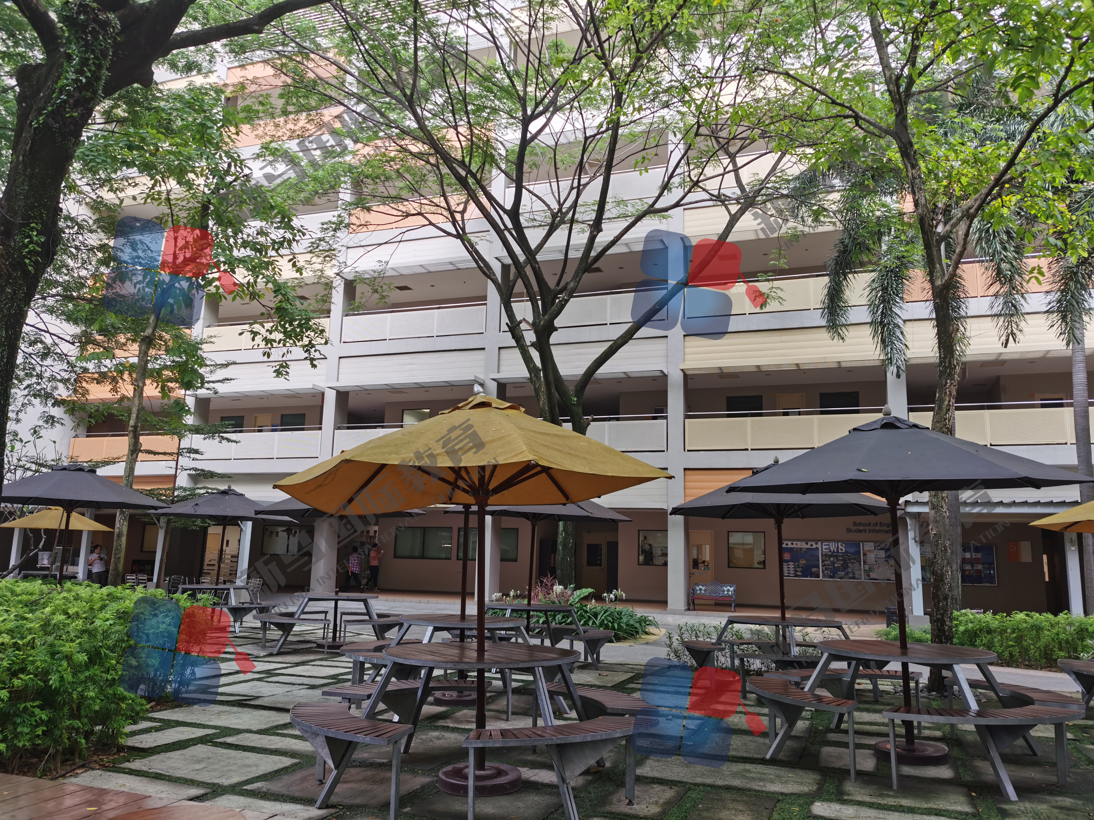 千萬別去馬來西亞留學?WHY?(圖5)